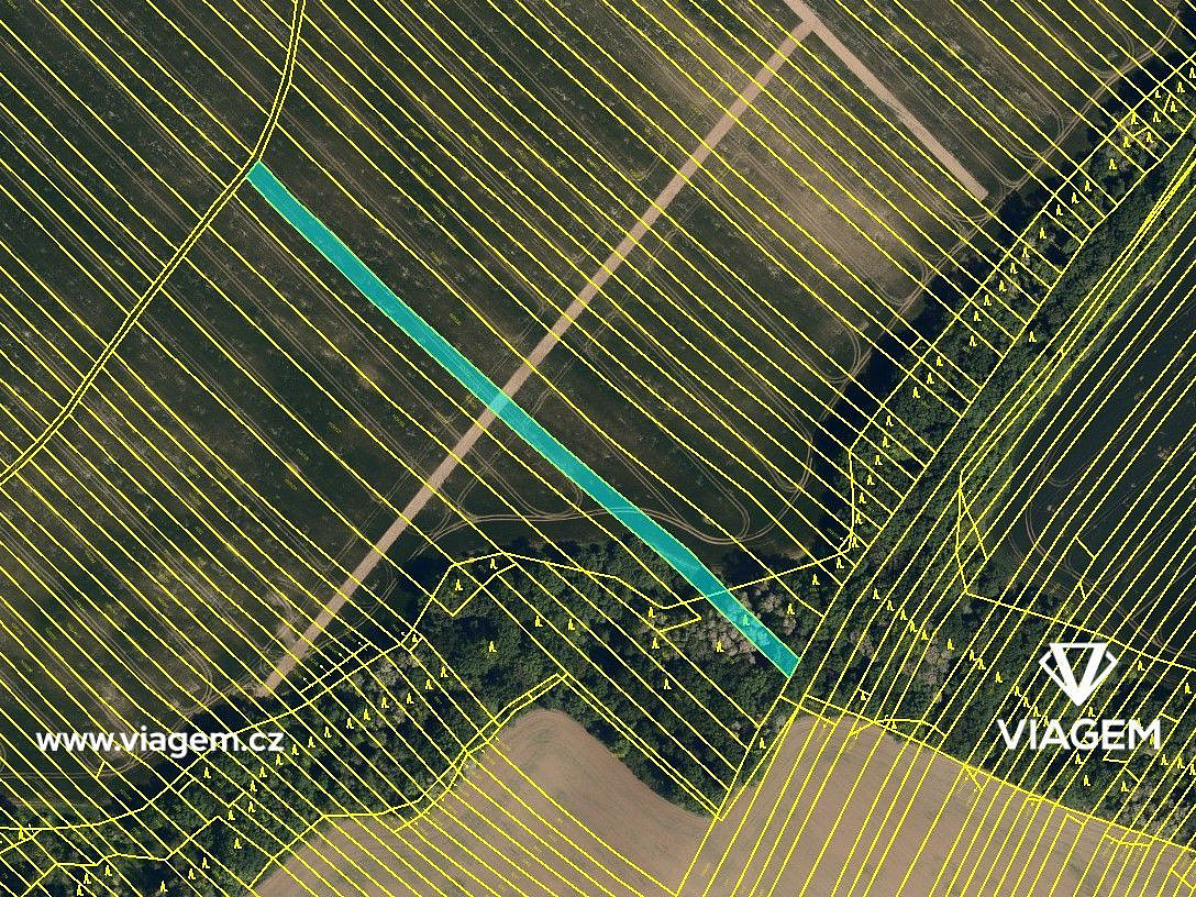 Prodej pole 1 500 m² – fotografie 3