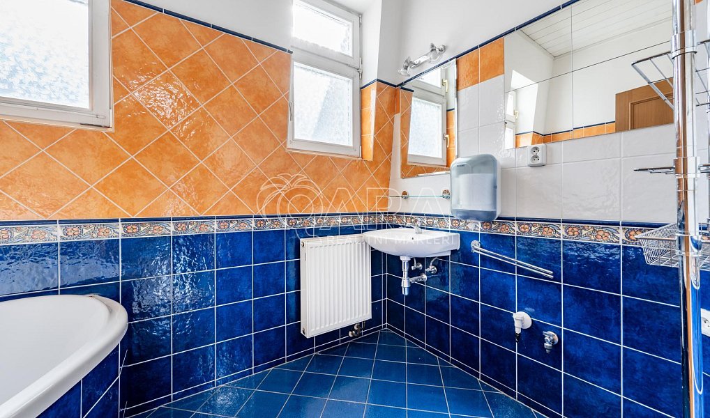 Pronájem bytu 5+kk 184 m², Praha – náhled fotky 14