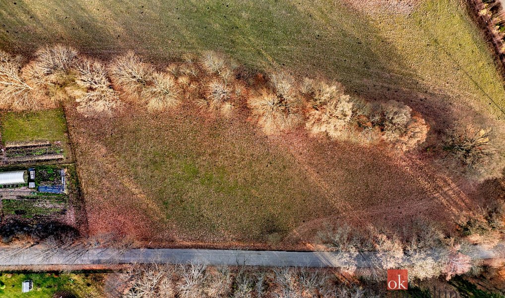 Prodej stavebního pozemku 3 662 m², Milhostov – náhled fotky 5