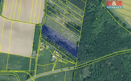 Prodej lesa 7 675 m², Stehlovice, okres Písek