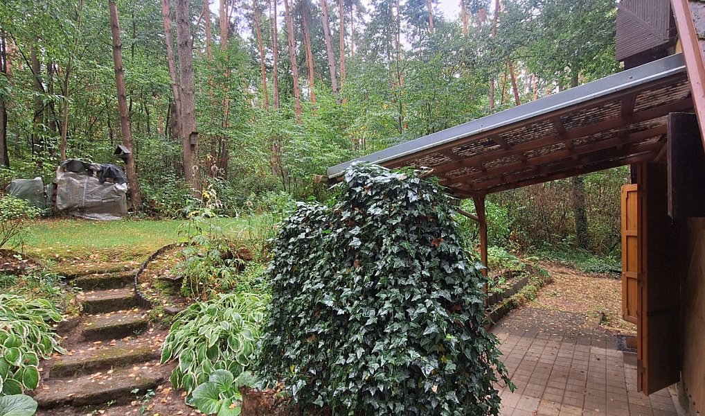 Prodej chaty/chalupy 32 m² s pozemkem 32 m², Horšovský Týn – náhled fotky 18