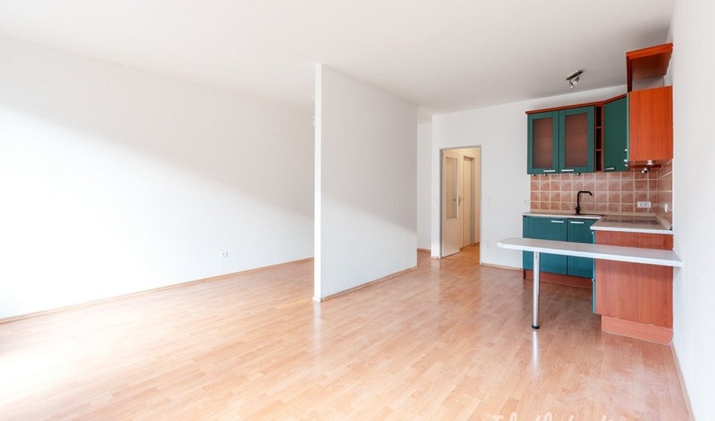 Pronájem bytu 1+kk 47 m², Praha – náhled fotky 4