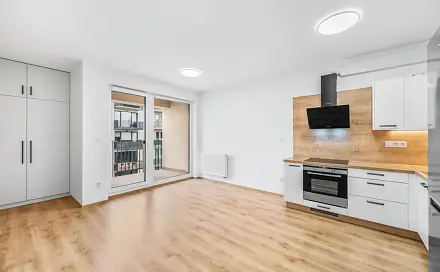 Pronájem bytu 2+kk 59 m², Goldscheiderova, Plzeň