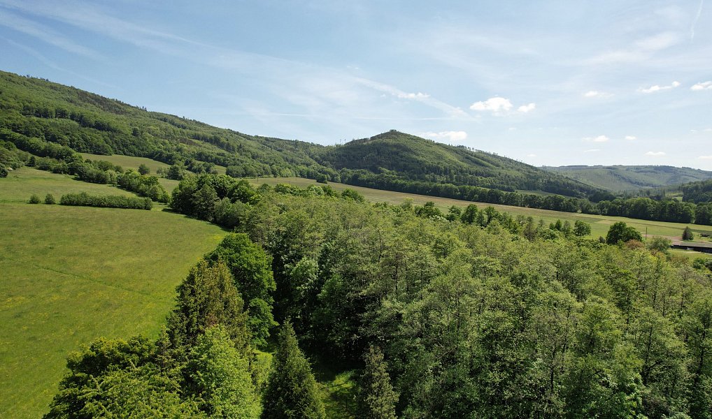 Prodej chaty/chalupy 42 m² s pozemkem 676 m², Zlaté Hory – náhled fotky 17