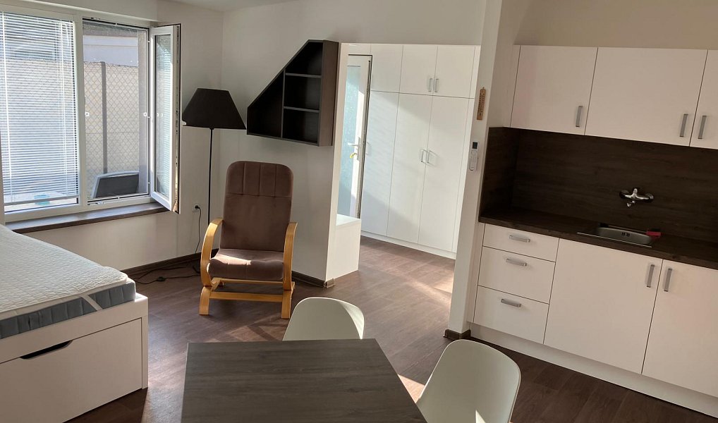 Pronájem domu (jiného typu) 32 m² s pozemkem 65 m², Libčice nad Vltavou – náhled fotky 4