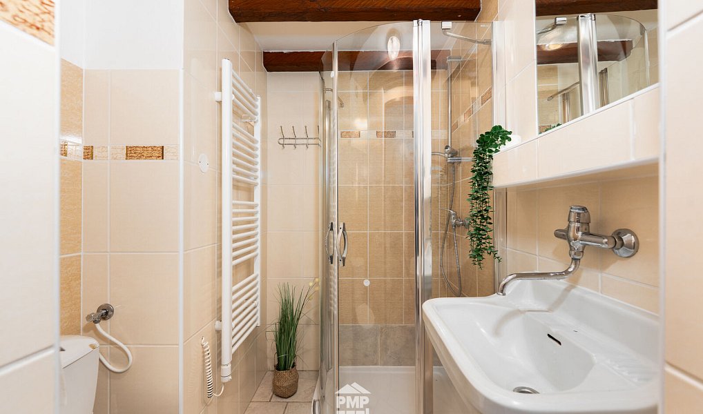 Prodej domu 257 m² s pozemkem 1 893 m², Svratouch – náhled fotky 13