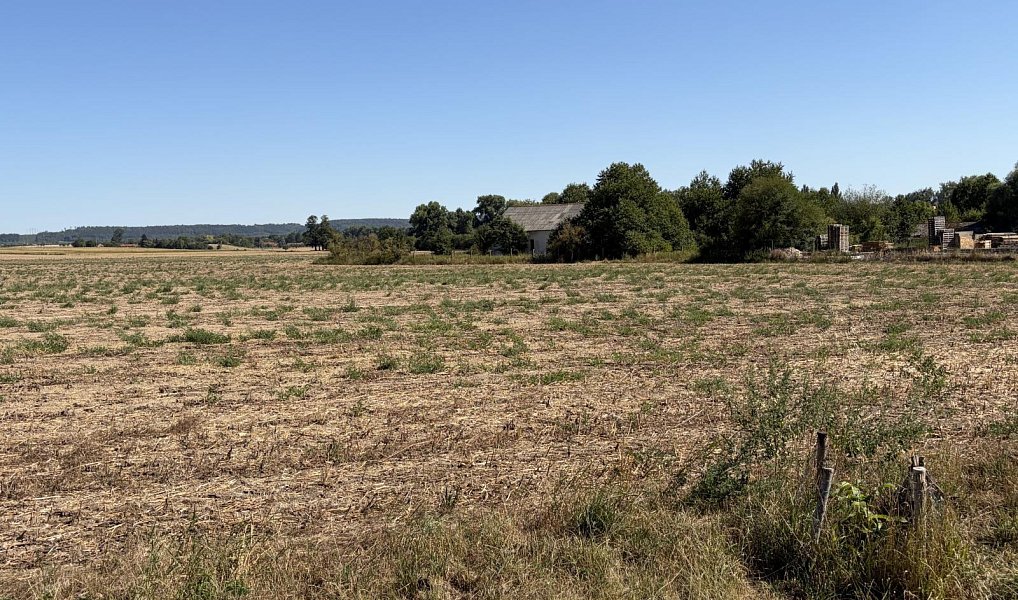 Prodej stavebního pozemku 8 572 m², Chroustovice – náhled fotky 14