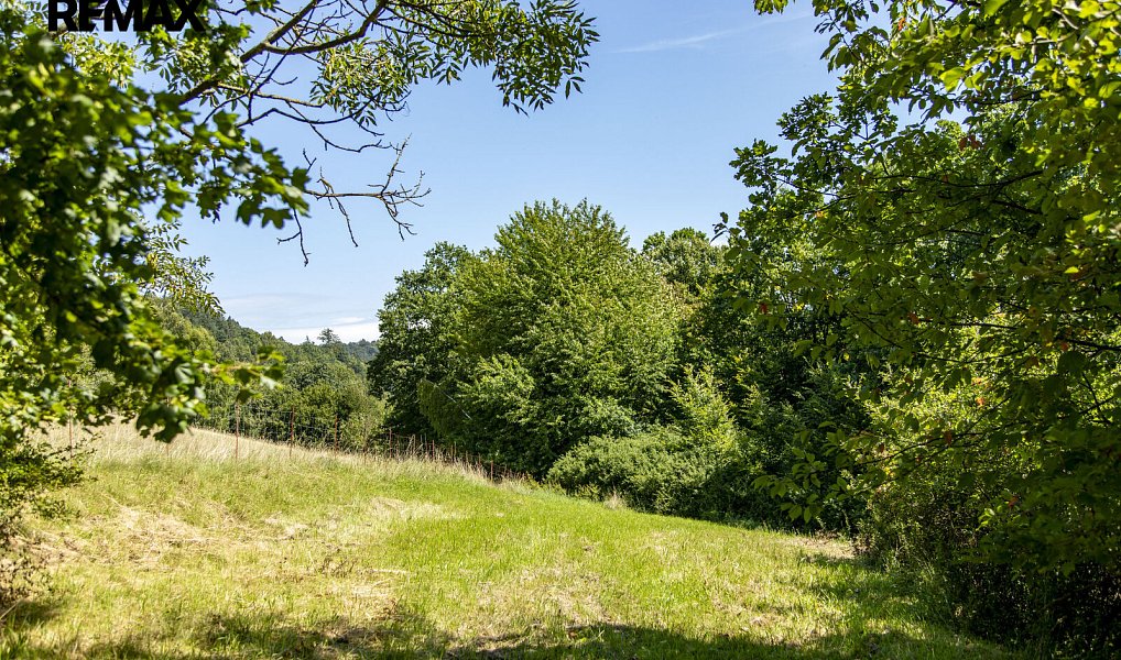 Prodej stavebního pozemku 4 479 m², Mikulůvka – náhled fotky 10