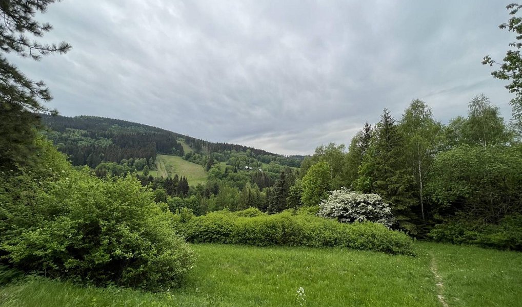 Prodej ubytovacího objektu 9 000 m², Malenovice – náhled fotky 4
