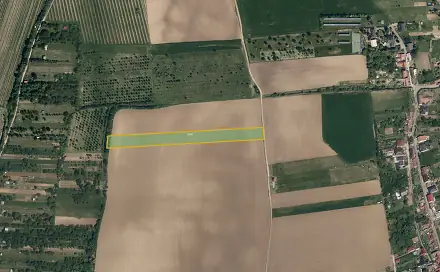 Prodej pole 8 059 m², Kostelec, okres Hodonín