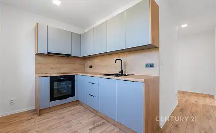 Pronájem bytu 3+1 56 m², Jaroslava Vrchlického, Most