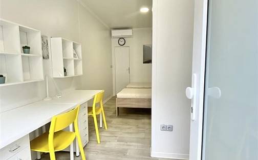 Pronájem bytu 1+kk 17 m², Hybešova, Brno - Staré Brno