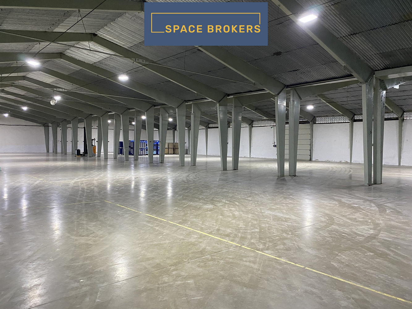Pronájem skladovacích prostor 2 000 m² — photo 4