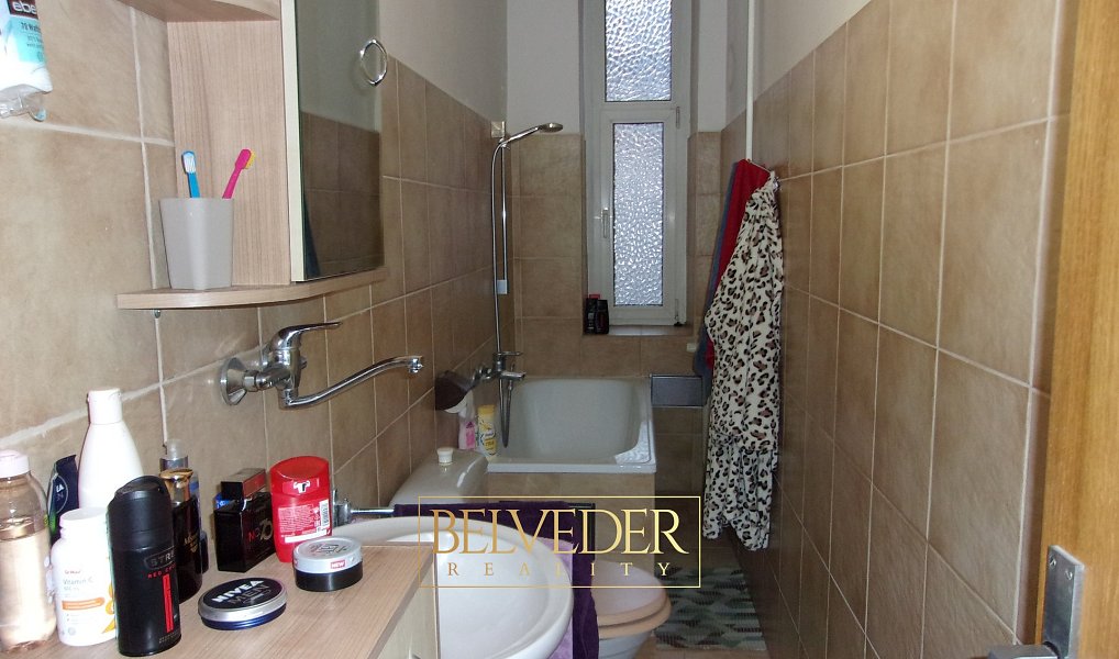 Pronájem bytu 1+1 66 m², Teplice – náhled fotky 5