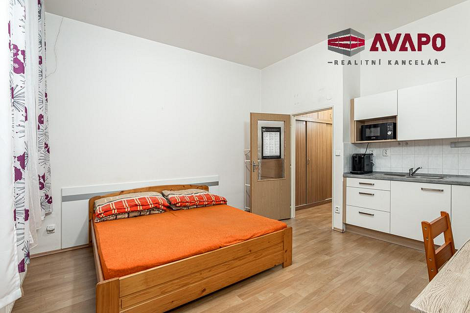 Pronájem bytu 1+kk 25 m² – fotografie 4