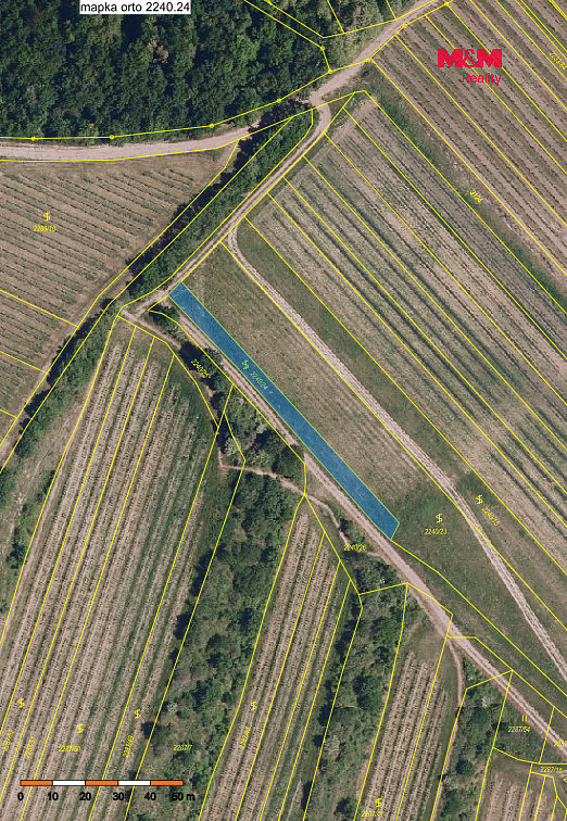 Prodej pole 2 899 m² – fotografie 3