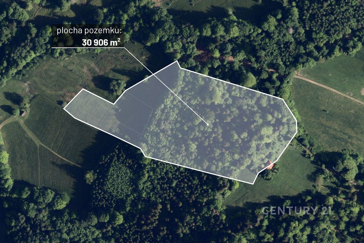 Prodej lesa 30 906 m²