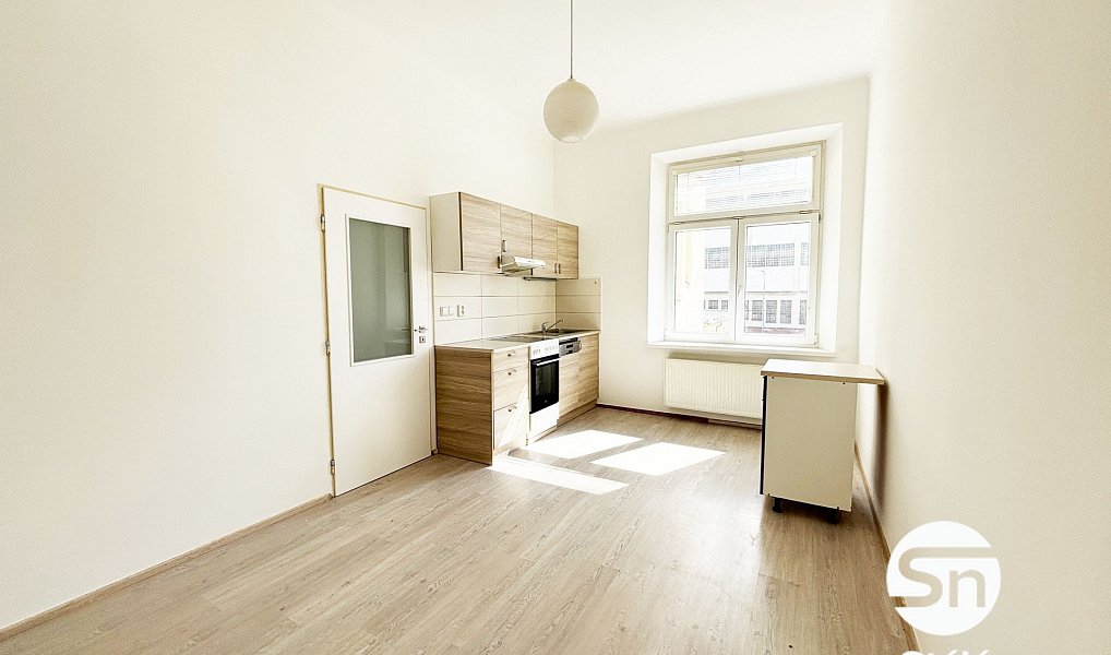 Pronájem bytu 1+1 55 m², Plzeň – náhled fotky 5