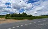 Ostatní