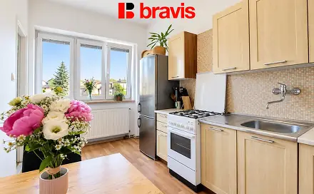 Pronájem bytu 1+1 48 m²
