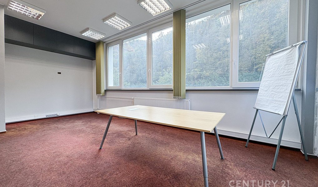 Pronájem výrobních prostor 1 920 m², Adamov – náhled fotky 13