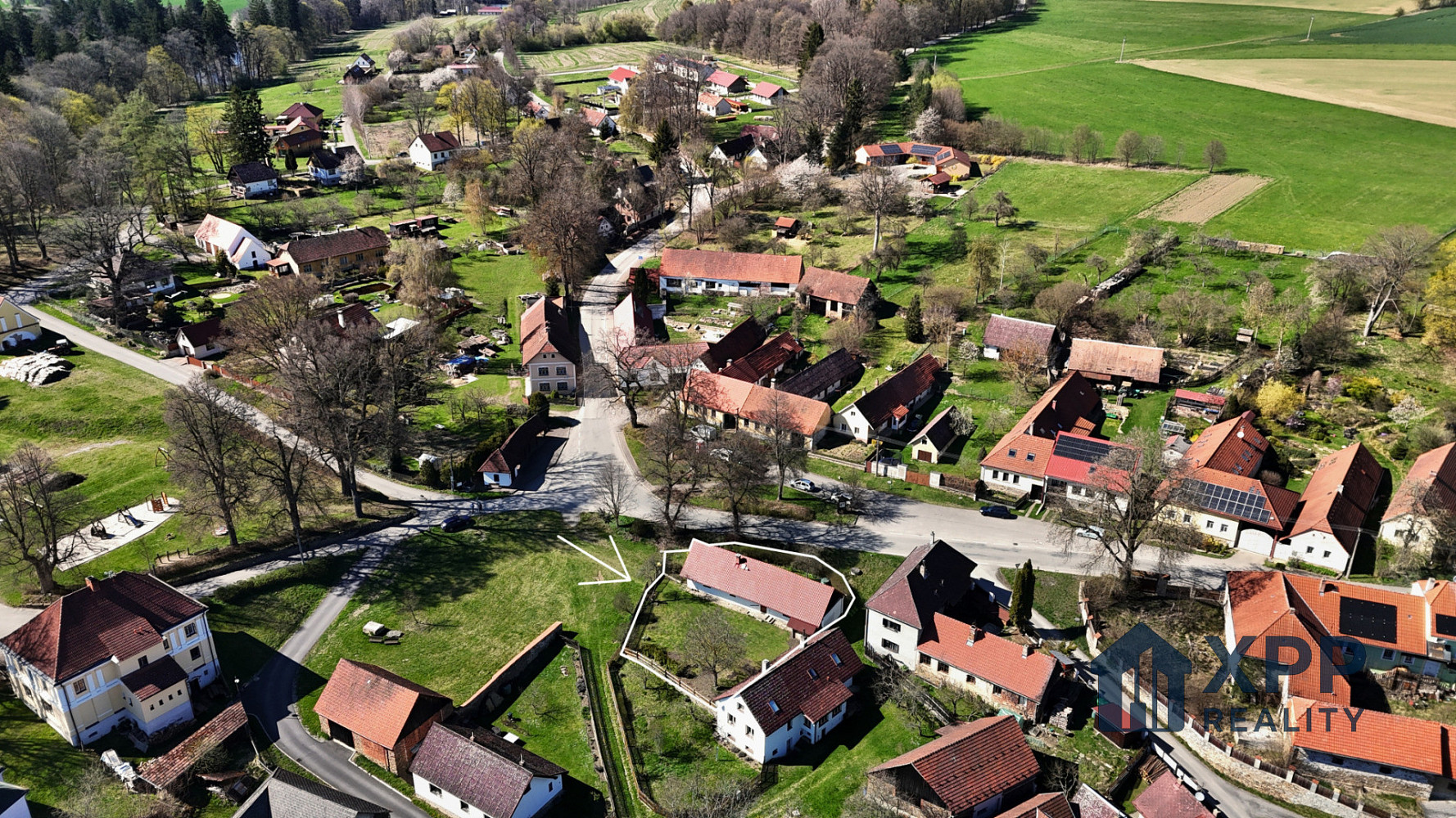 Fotka 20 z 25