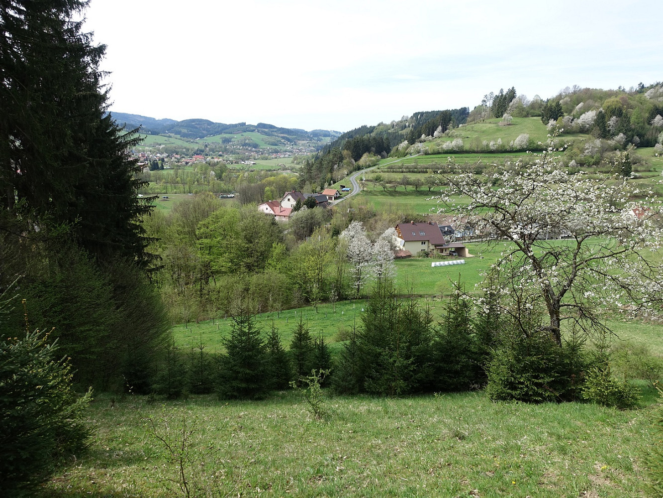 Prodej louky 7 095 m² — photo 4