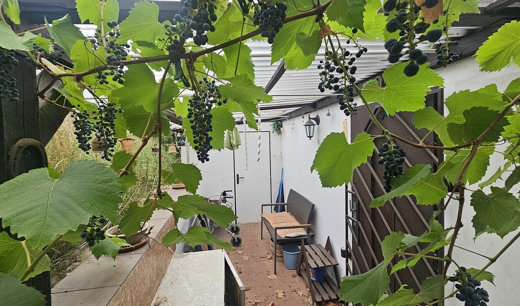 Prodej chaty/chalupy 40 m² s pozemkem 1 098 m², Ústí nad Labem – náhled fotky 9