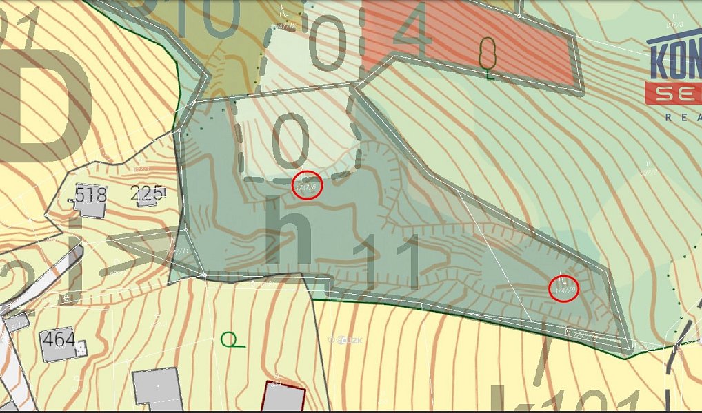 Prodej lesa 7 376 m², Hodslavice – náhled fotky 6
