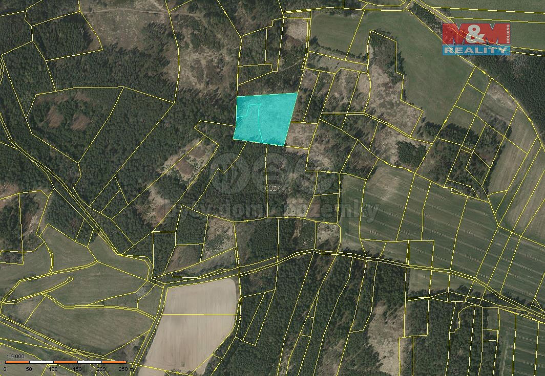 Prodej lesa 11 506 m²