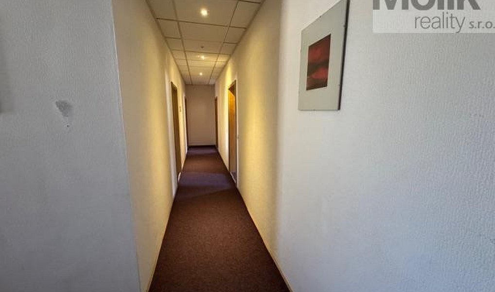 Prodej ubytovacího objektu 1 753 m², Český Jiřetín – náhled fotky 24
