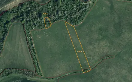 Prodej pole 6 524 m², Žlebské Chvalovice, okres Chrudim