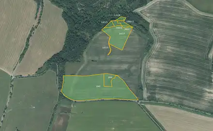 Prodej pole 65 386 m², Nové Lublice, okres Opava