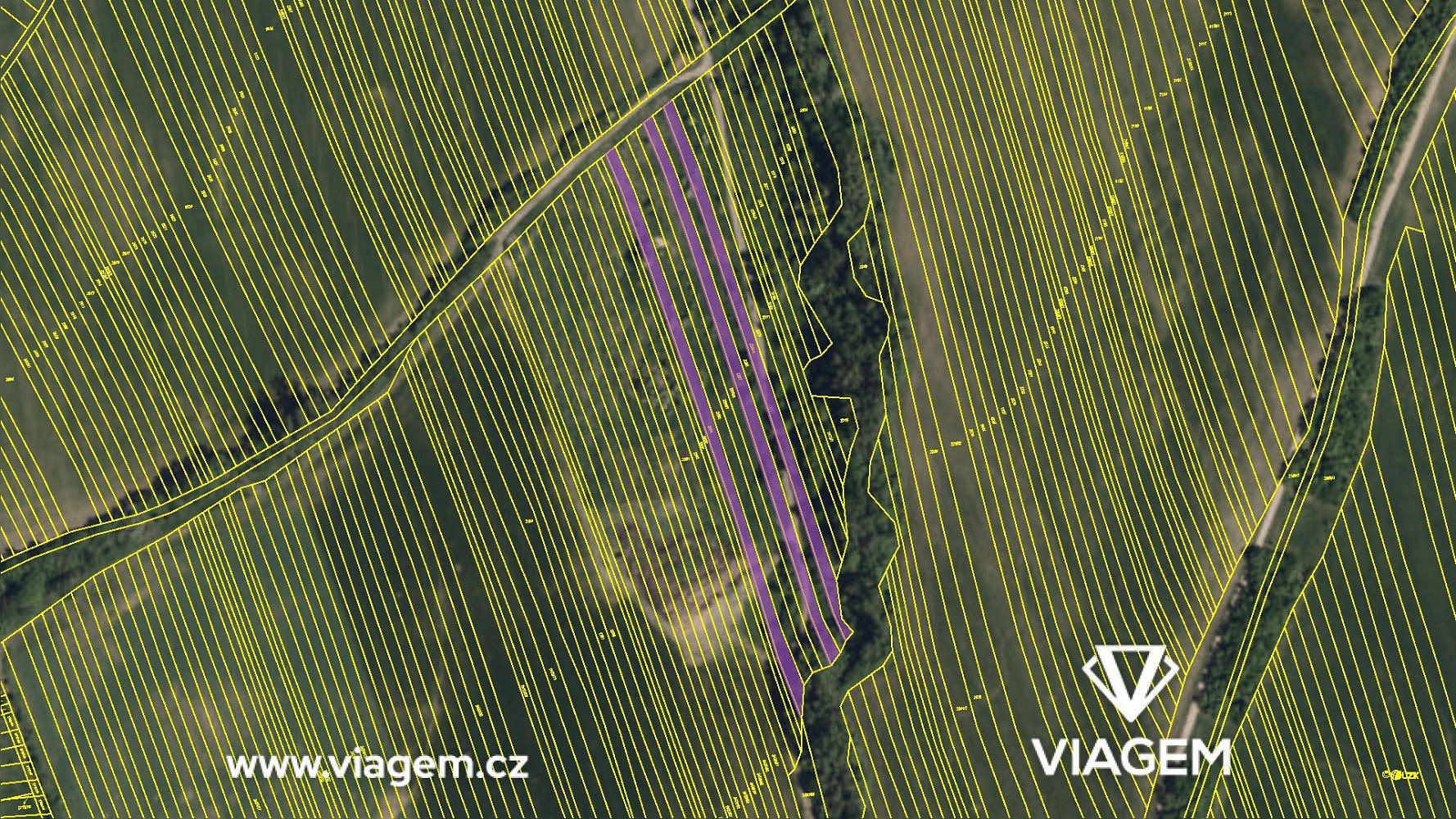 Prodej pole 3 093 m² – fotografie 4