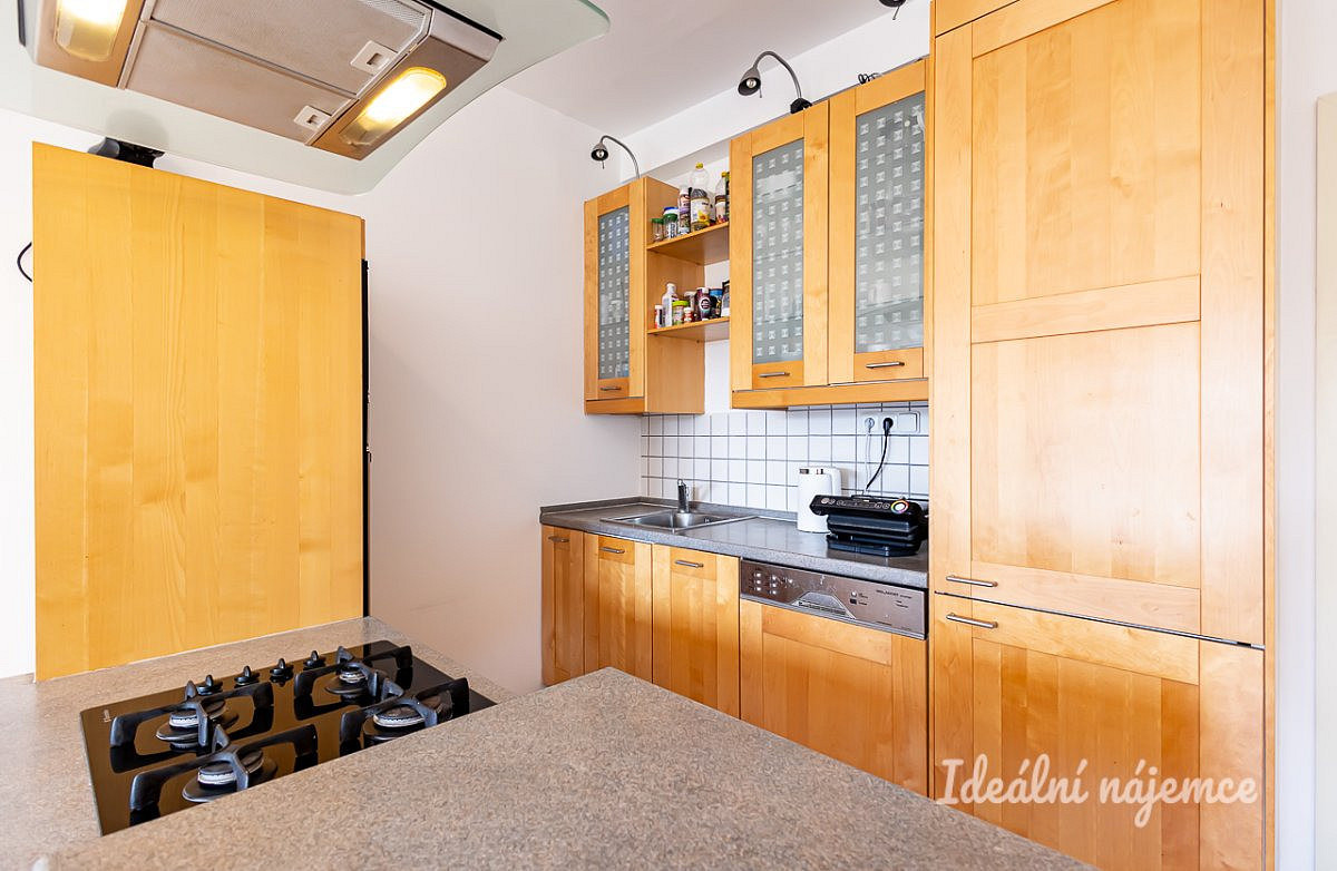 Pronájem bytu 3+kk 56 m² – fotografie 5