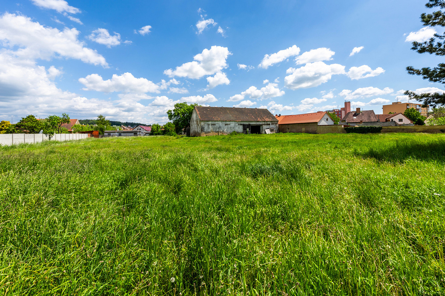Prodej stavebního pozemku 10 396 m² - Więcej