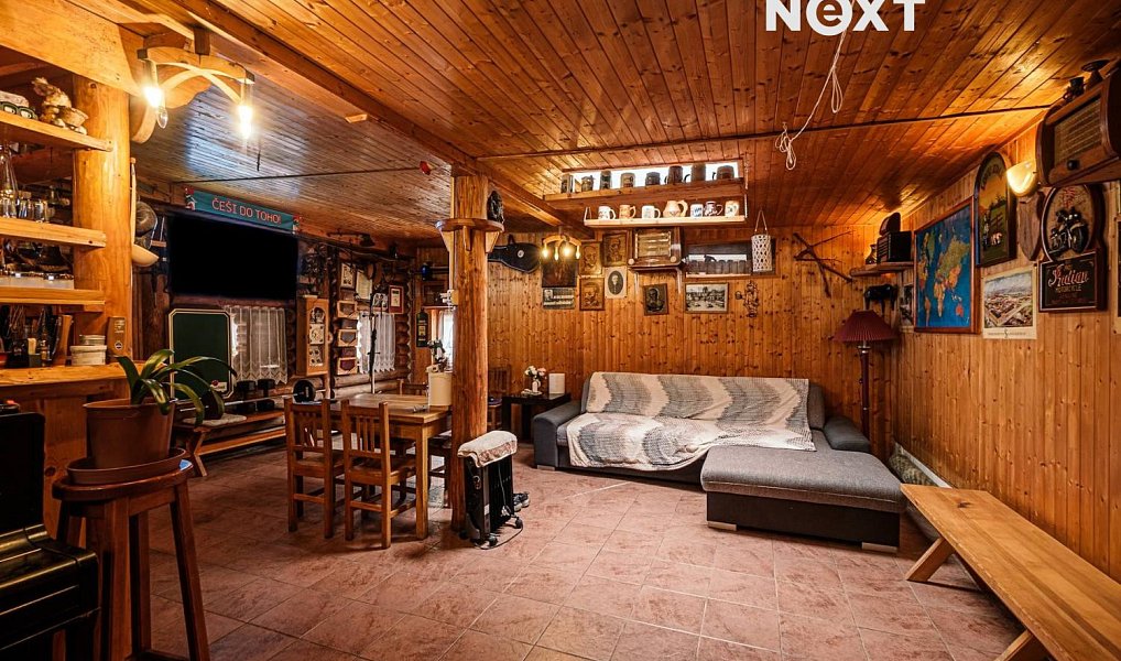 Prodej domu 380 m² s pozemkem 3 150 m², Čestín – náhled fotky 11