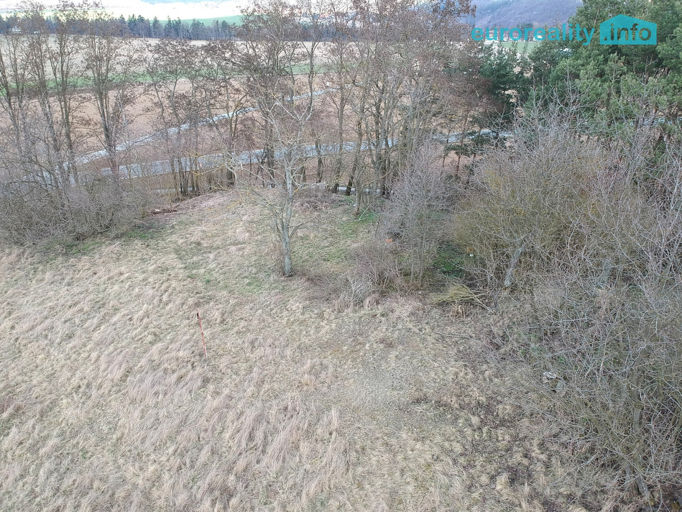 Fotka 10 z 15