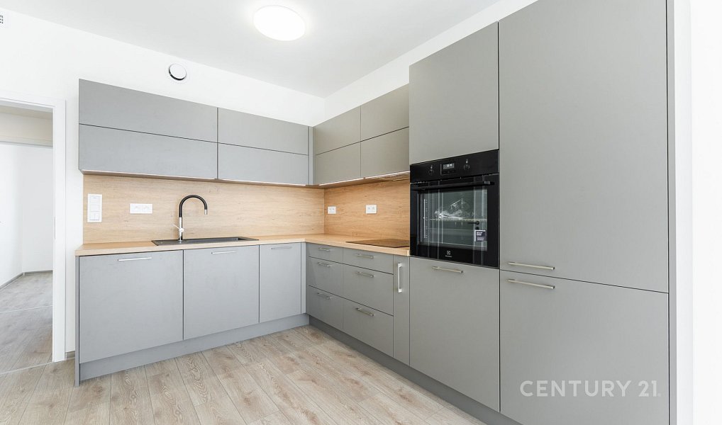 Pronájem bytu 3+kk 66 m², Praha – náhled fotky 3