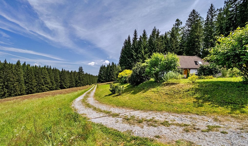 Prodej domu 303 m² s pozemkem 27 142 m², Frymburk – náhled fotky 43