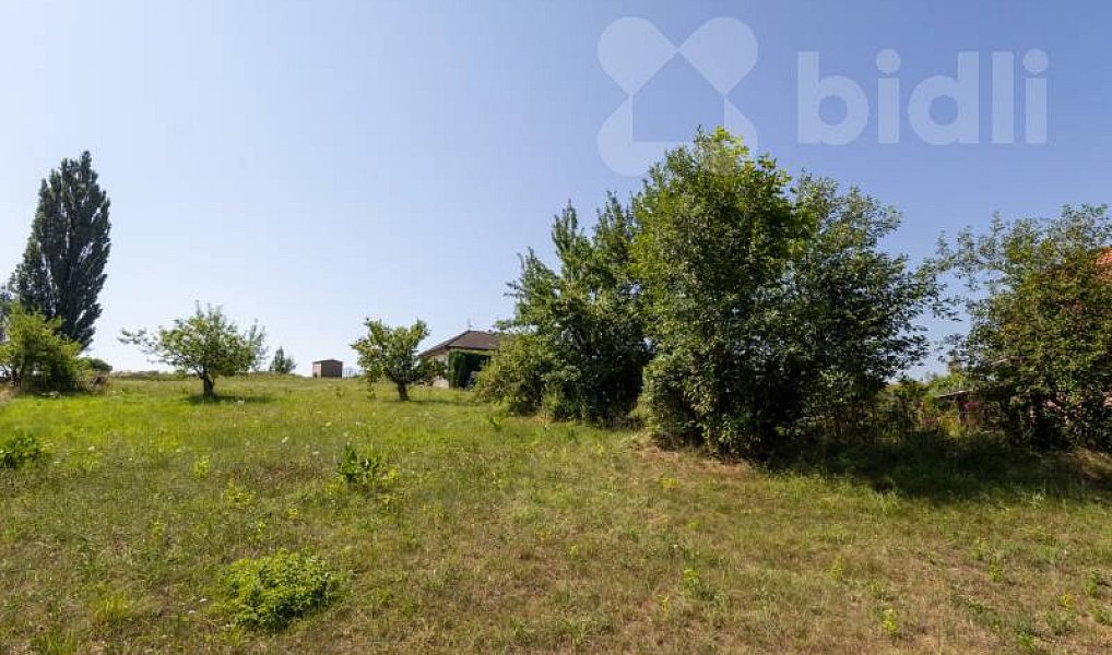 Prodej stavebního pozemku 2 678 m², Kamenec u Poličky – náhled fotky 5