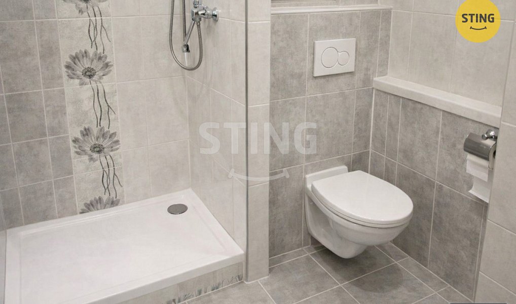 Prodej bytu 1+1 36 m², Frýdek-Místek – náhled fotky 6