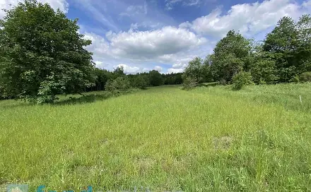 Prodej pozemku 7 893 m², Slavonice - Stálkov, okres Jindřichův Hradec