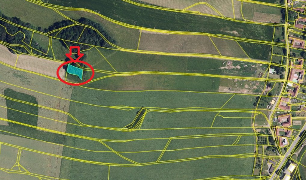 Prodej lesa 9 585 m², Dzbel – náhled fotky 20