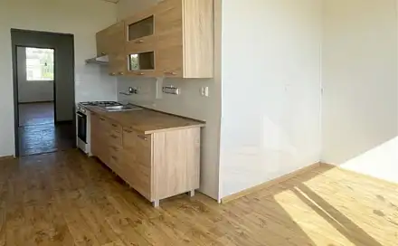 Prodej bytu 2+1 59 m², Písečná, Chomutov