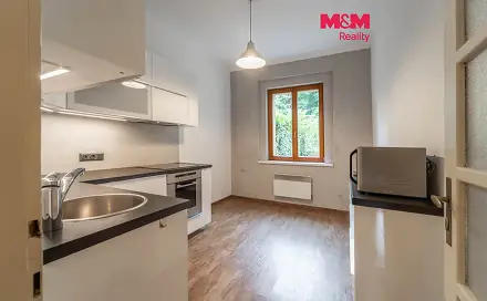 Pronájem bytu 1+1 40 m², Krokova, Praha 2 - Nusle