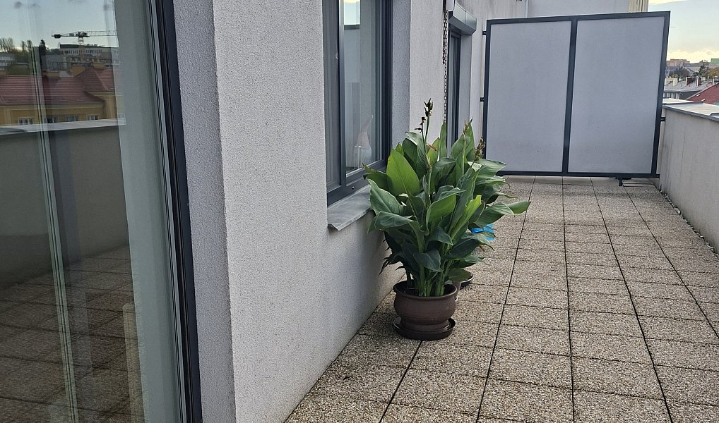Pronájem bytu 3+kk 63 m², Olomouc – náhled fotky 5
