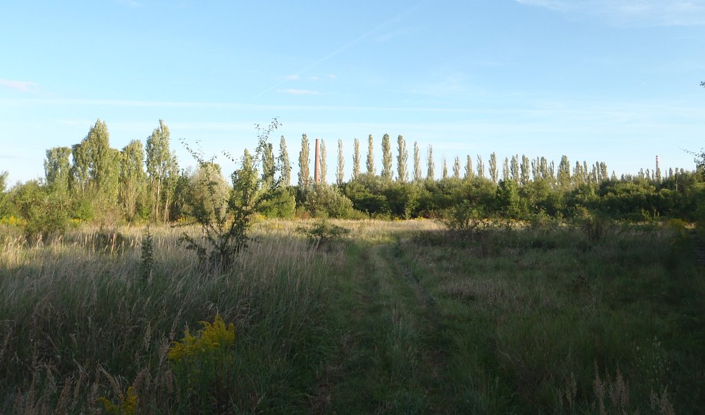Prodej louky 8 401 m², Kosmonosy – náhled fotky 3