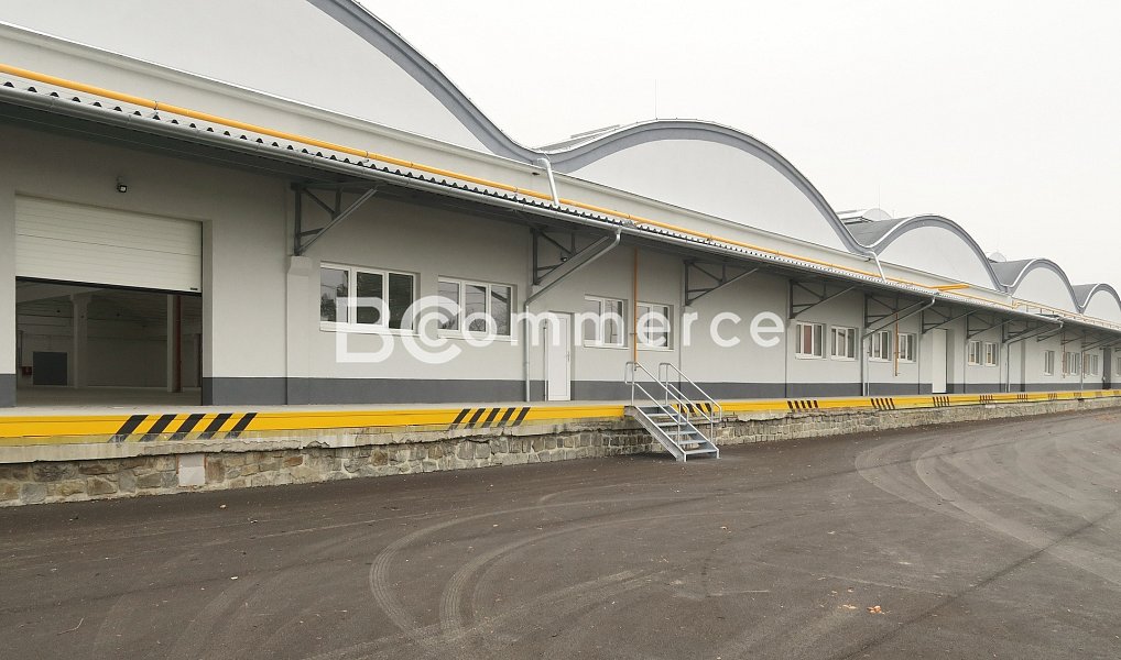 Pronájem skladovacích prostor 1 124 m², Holubice – náhled fotky 4