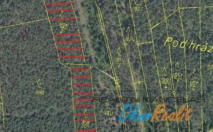 Prodej lesa 15 009 m², Kostelní Lhota, okres Nymburk